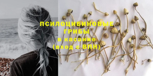 экстази Алексин