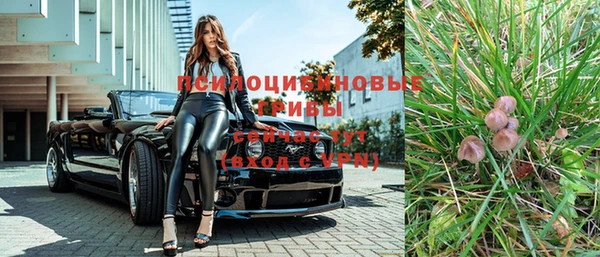 экстази Алексин