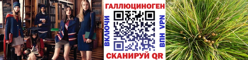 Галлюциногенные грибы мухоморы гидра сайт Каргат