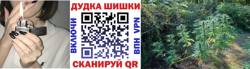 Бошки Шишки семена  Каргат 